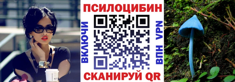 где продают наркотики  Канаш  Псилоцибиновые грибы прущие грибы 
